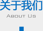 公司簡介